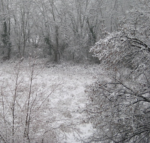 neve, 5,02,010, 5