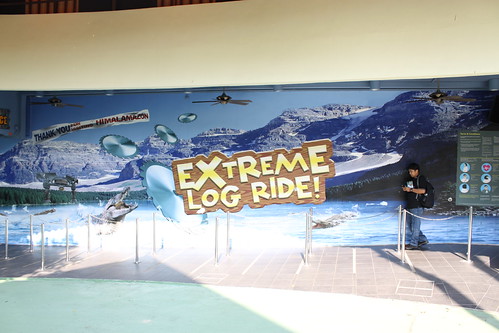 Extreme Log Ride