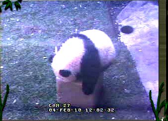 Yun Zi with a box