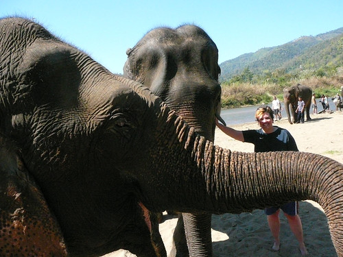 Me and the ex-drug addicted elephant