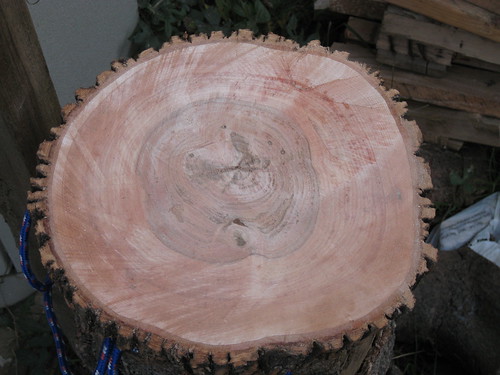Modesto ash log round