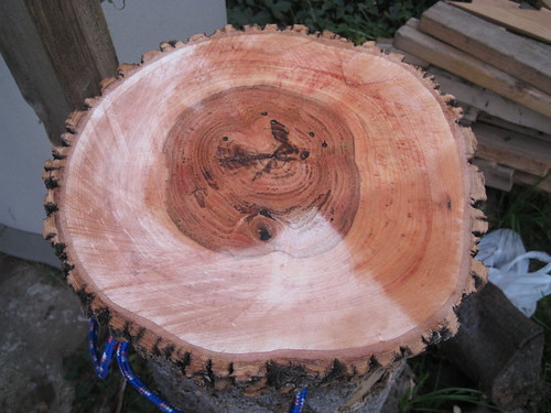 Modesto ash log round
