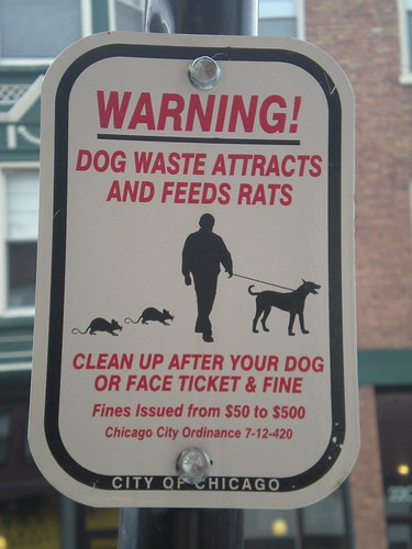 Chicago dog poop sign