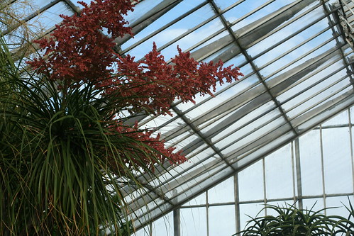 20090919 Edinburgh 20 Royal Botanic Garden 292