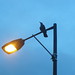 Crow on a lamp