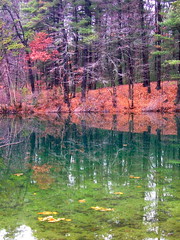 Fall Colors at Walden Pond • <a style="font-size:0.8em;" href="http://www.flickr.com/photos/34335049@N04/4157463413/" target="_blank">View on Flickr</a>