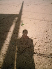 【写真】Shadow (izone 550)