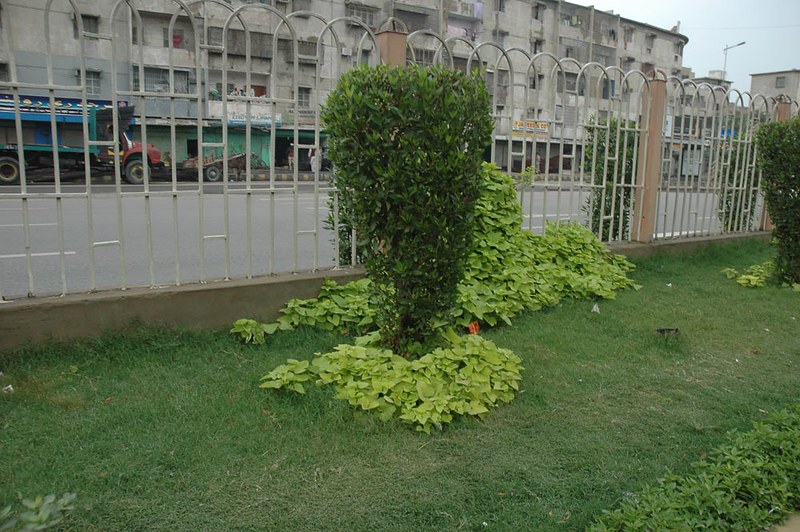 Karachi  Green Karachi  C D G K (7)<br/>© <a href="https://flickr.com/people/35200827@N04" target="_blank" rel="nofollow">35200827@N04</a> (<a href="https://flickr.com/photo.gne?id=4085402689" target="_blank" rel="nofollow">Flickr</a>)