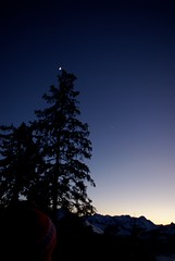 Mond, Jupiter und Baum
