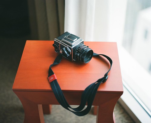 Hasselblad Leather Carrying Hand Strap for Hasselblad SWC 