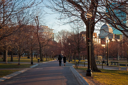 Boston Commons Stroll