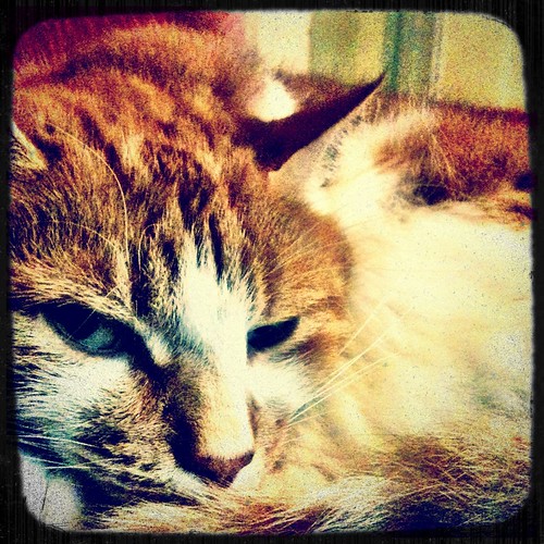 PAD: 6th June 2011