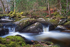 Becky Falls Woodland Park And Nature Trail, Also Known As Becka Falls, Manaton, Newton Abbott, Devon. Uk