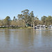 Murray River Panorama