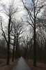 Wanderung Treptower Park - Alt-Köpenick • <a style="font-size:0.8em;" href="http://www.flickr.com/photos/25397586@N00/33010333090/" target="_blank">View on Flickr</a>
