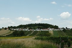 Weinviertel pur • <a style="font-size:0.8em;" href="http://www.flickr.com/photos/20176387@N00/9303382074/" target="_blank">View on Flickr</a>