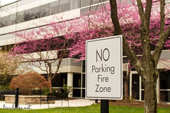 2017 107/365 - No Parking Fire Zone