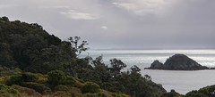 Tiritiri Matangi Island, New Zealand