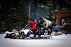 snowmobile Trip Whistler - Pro Ride