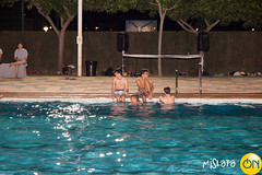IMG_0647 • <a style="font-size:0.8em;" href="http://www.flickr.com/photos/139076706@N05/33014188244/" target="_blank">View on Flickr</a>