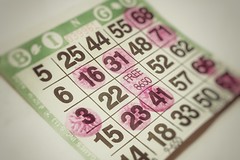 bingo [Day 3005]
