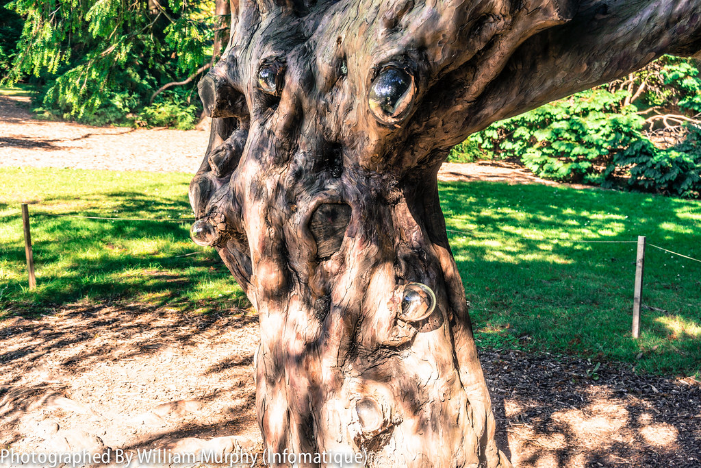Tree Dressings By Mags O'Dea - Sculpture In Context 2013 In The Botanic Gardens