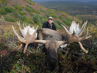 Alaska Dall Sheep Hunt & Moose Hunt 11
