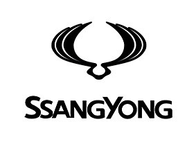 SsangYong • <a style="font-size:0.8em;" href="http://www.flickr.com/photos/148381721@N07/33482020011/" target="_blank">View on Flickr</a>