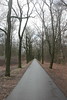 Wanderung Treptower Park - Alt-Köpenick • <a style="font-size:0.8em;" href="http://www.flickr.com/photos/25397586@N00/33352843646/" target="_blank">View on Flickr</a>