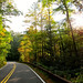 Highway 64 from Franklin, N.C. to Cashiers, N.C.  The road twists through the Nantahala National Forest along the Nantahala River.