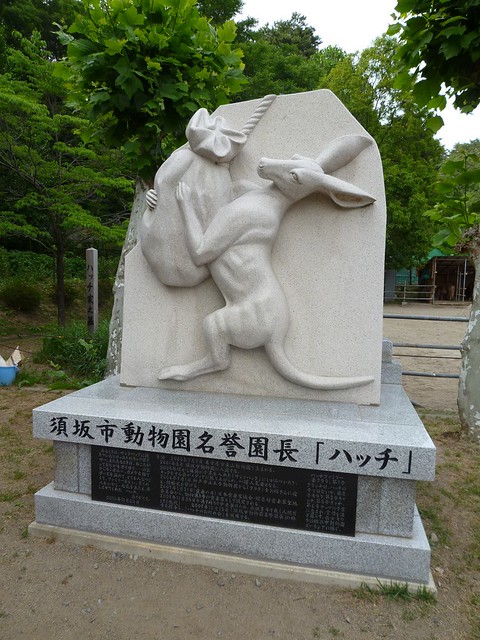 ボクシングをするアカカンガルー、「ハッチ」｜須坂市動物園