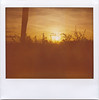 Sunset (Polaroid Image-Spectra)