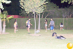 IMG_0638 • <a style="font-size:0.8em;" href="http://www.flickr.com/photos/139076706@N05/33014188614/" target="_blank">View on Flickr</a>