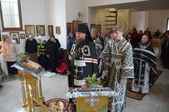 JPR_7282_новый размер