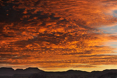 Sonnenaufgang Kalahari I