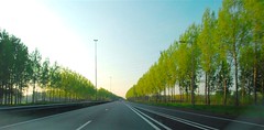 Netherlands Roadscapes 05