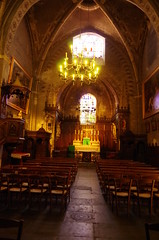 IMGP4968 - Cathédrale Notre-Dame de Grenoble - partie du XIè siècle (église Saint Hugues)