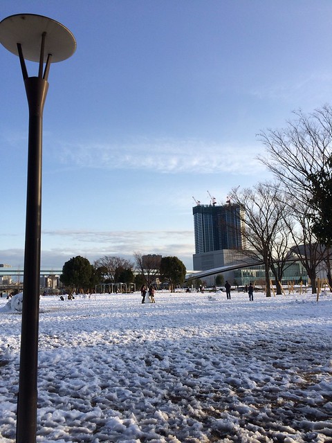 豊洲公園には雪だるまが沢山ありました。