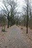 Wanderung Treptower Park - Alt-Köpenick • <a style="font-size:0.8em;" href="http://www.flickr.com/photos/25397586@N00/33393349725/" target="_blank">View on Flickr</a>