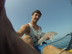 Ryan Turner - 8.4lb Smoothhound (1) • <a style="font-size:0.8em;" href="http://www.flickr.com/photos/113772263@N05/11834161566/" target="_blank">View on Flickr</a>