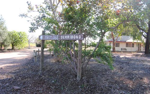 Farm 1368 Gribble Road, Yenda NSW 2681