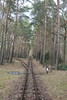 Wanderung Treptower Park - Alt-Köpenick • <a style="font-size:0.8em;" href="http://www.flickr.com/photos/25397586@N00/33237475172/" target="_blank">View on Flickr</a>