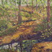 Norwood Forest 2 - 24" x 36" - Oil - sold