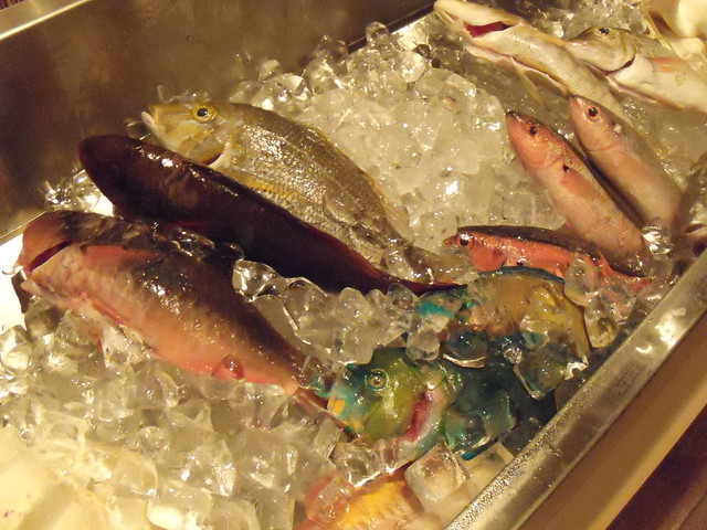 居酒屋さんには、すぐ目の前の海で採れた魚がたくさんいました。｜喜瀬ビーチパレス