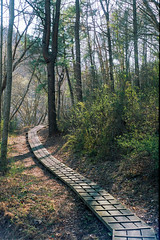 Kentucky Trail