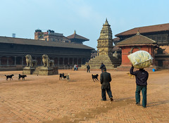 Porter and territorial strays in Bhaktapur's Durbar square
