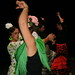 I Festival de Flamenc i Sevillanes • <a style="font-size:0.8em;" href="http://www.flickr.com/photos/95967098@N05/9158508368/" target="_blank">View on Flickr</a>