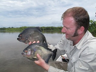 Brazil Peacock Bass Fishing 44