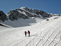 Scialpinismo Velino - Monte Velino dai Piani di Pezza