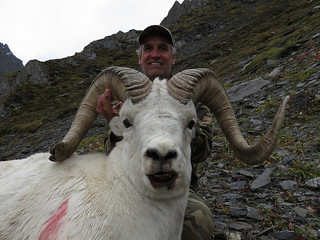 Alaska Dall Sheep Hunt & Moose Hunt 2